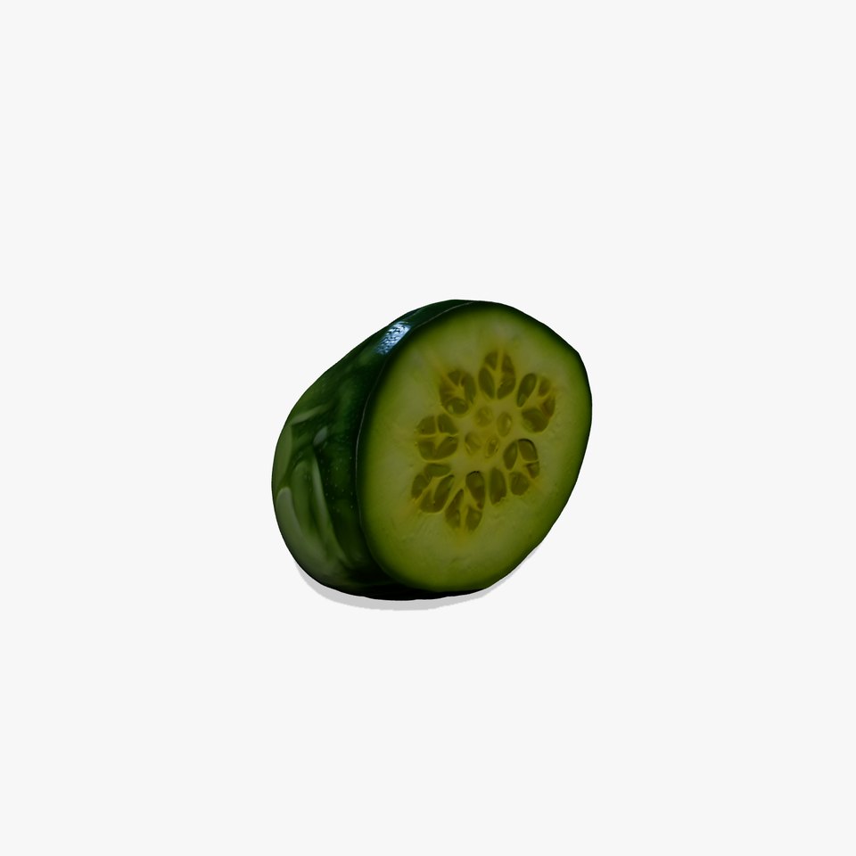 Cucumber Slice Detailed D Model Pack